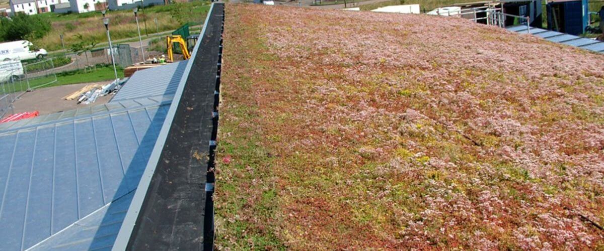 Long term green roof waterproof enveloping contract carried out by DSM Ltd in Yorkshire at Windygoul School